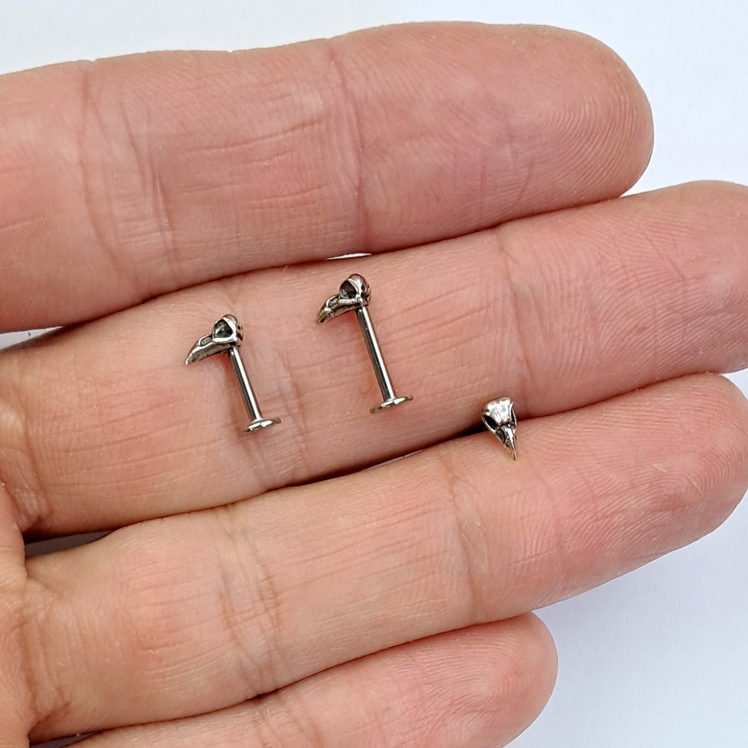Piercing Orelha Tragus Labret Corvo Aço Cirúrgico
