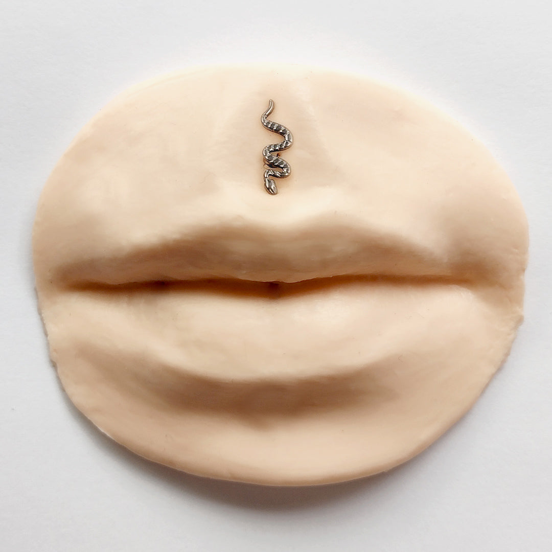Piercing Orelha Nariz Tragus Labret Cobra Titânio