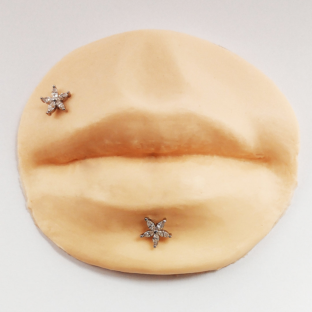 Piercing Orelha Nariz Tragus Labret Flor Zircônias Titânio