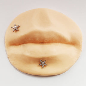 Piercing Orelha Nariz Tragus Labret Flor Zircônias Titânio