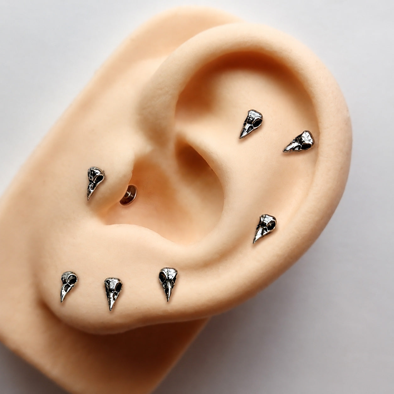 Piercing Orelha Tragus Labret Corvo Aço Cirúrgico