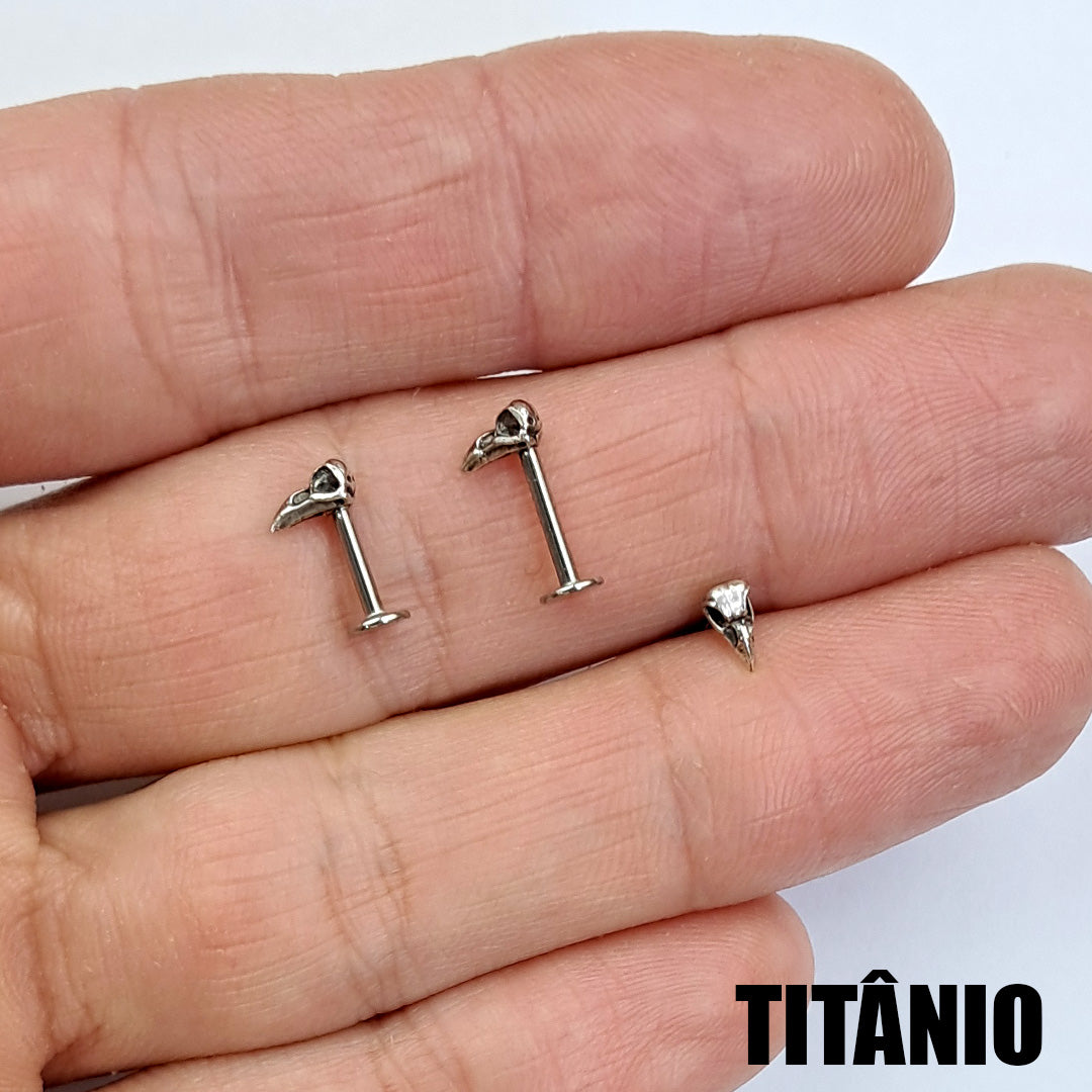 Piercing Orelha Tragus Labret Corvo Titânio