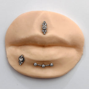 Piercing Orelha Nariz Tragus Labret Titânio