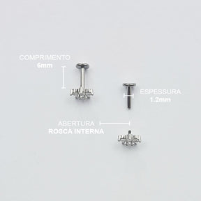 Piercing Orelha Nariz Tragus Labret Flor Zircônias Titânio